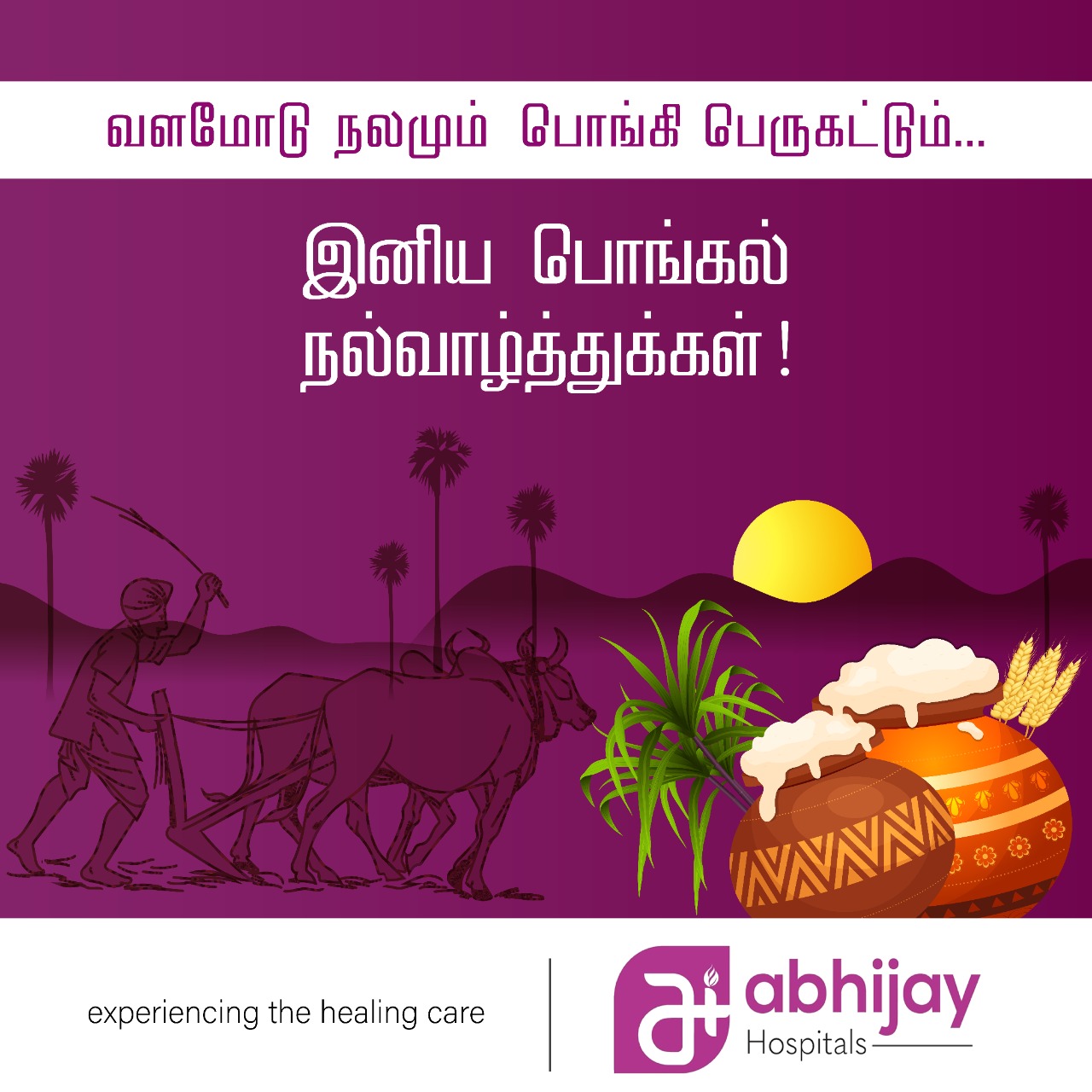 Abhijay pongal wish